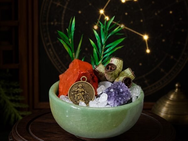 Aquarius Crystal Micro-Landscape Desk Decor with red jasper, amethyst, clear quartz, botanical accents, and zodiac medallion
