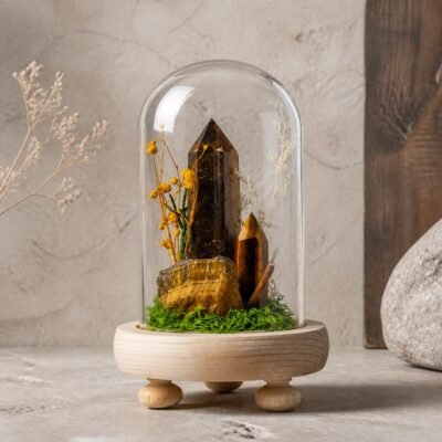 Tiger Eye Dome with natural tiger eye moss and dried botanicals beneath a glass dome