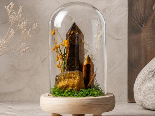 forest-crystal-dome-gardens-02-tiger-eye Tiger Eye Dome with natural tiger eye moss and dried botanicals beneath a glass dome