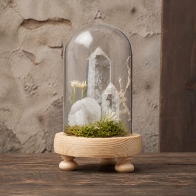 White Crystal Dome with white crystal moss and dried botanicals beneath a clear glass dome