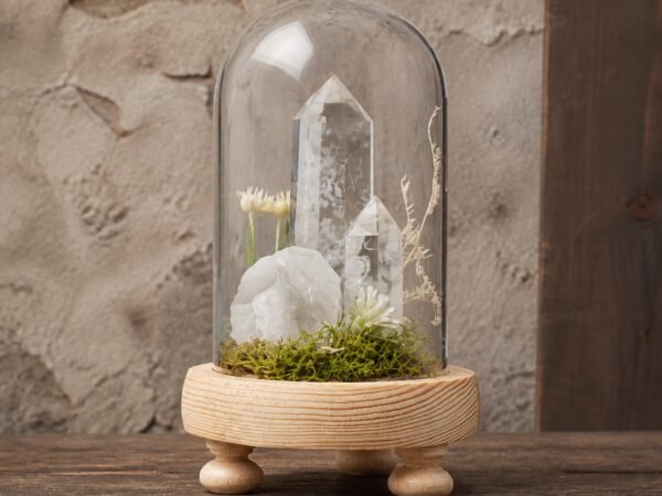 forest-crystal-dome-gardens-15-white-crystal White Crystal Dome with white crystal moss and dried botanicals beneath a clear glass dome